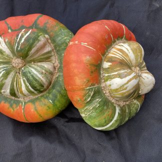 Turks Turban Squash