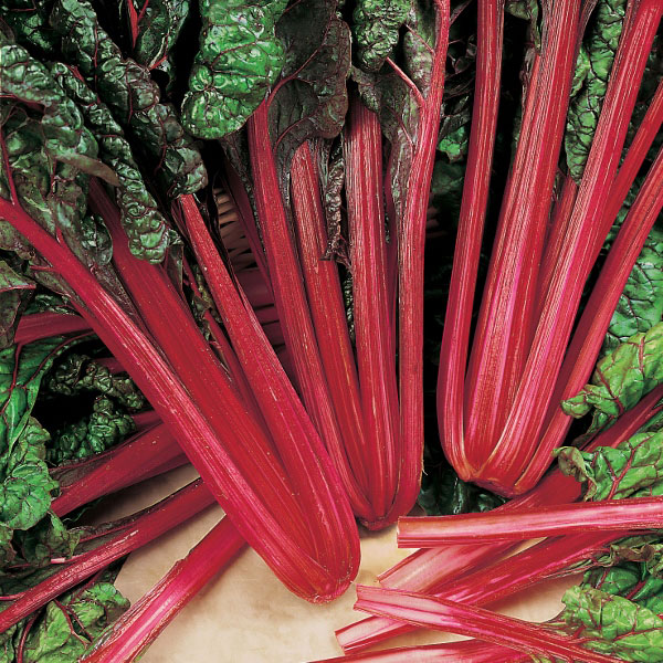 Ruby Red Swiss Chard Mammoth Onion