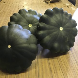 Kermit F1 Squash