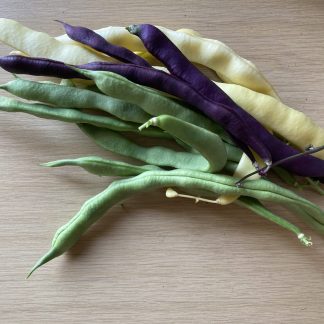 MIXED PACKET CLIMBING FRENCH BEAN