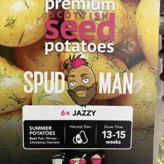 1 SUMMER PLANTING POTATO - JAZZY