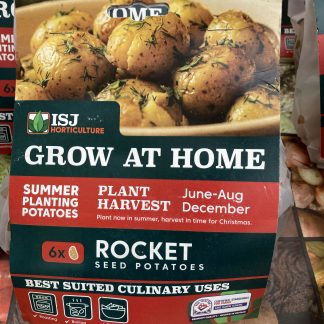 1 SUMMER PLANTING POTATOES - ROCKET