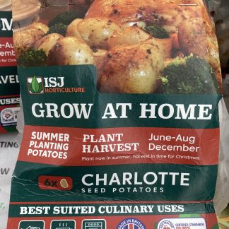 1 summer planting potatoes  - CHARLOTTE