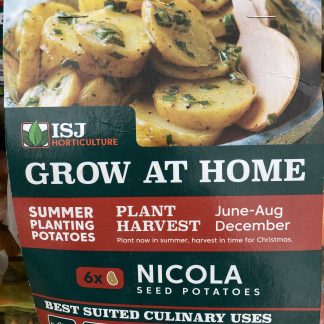 1 summer planting potato - NICOLA