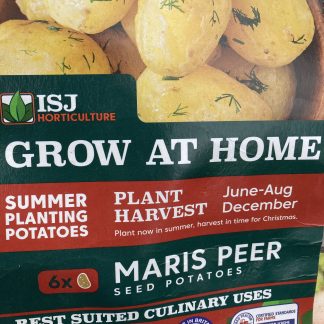1 summer planting potato MARIS PEER