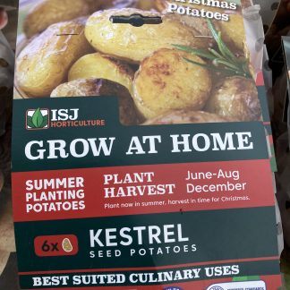 1 SUMMER PLANTING POTATO  - KESTREL