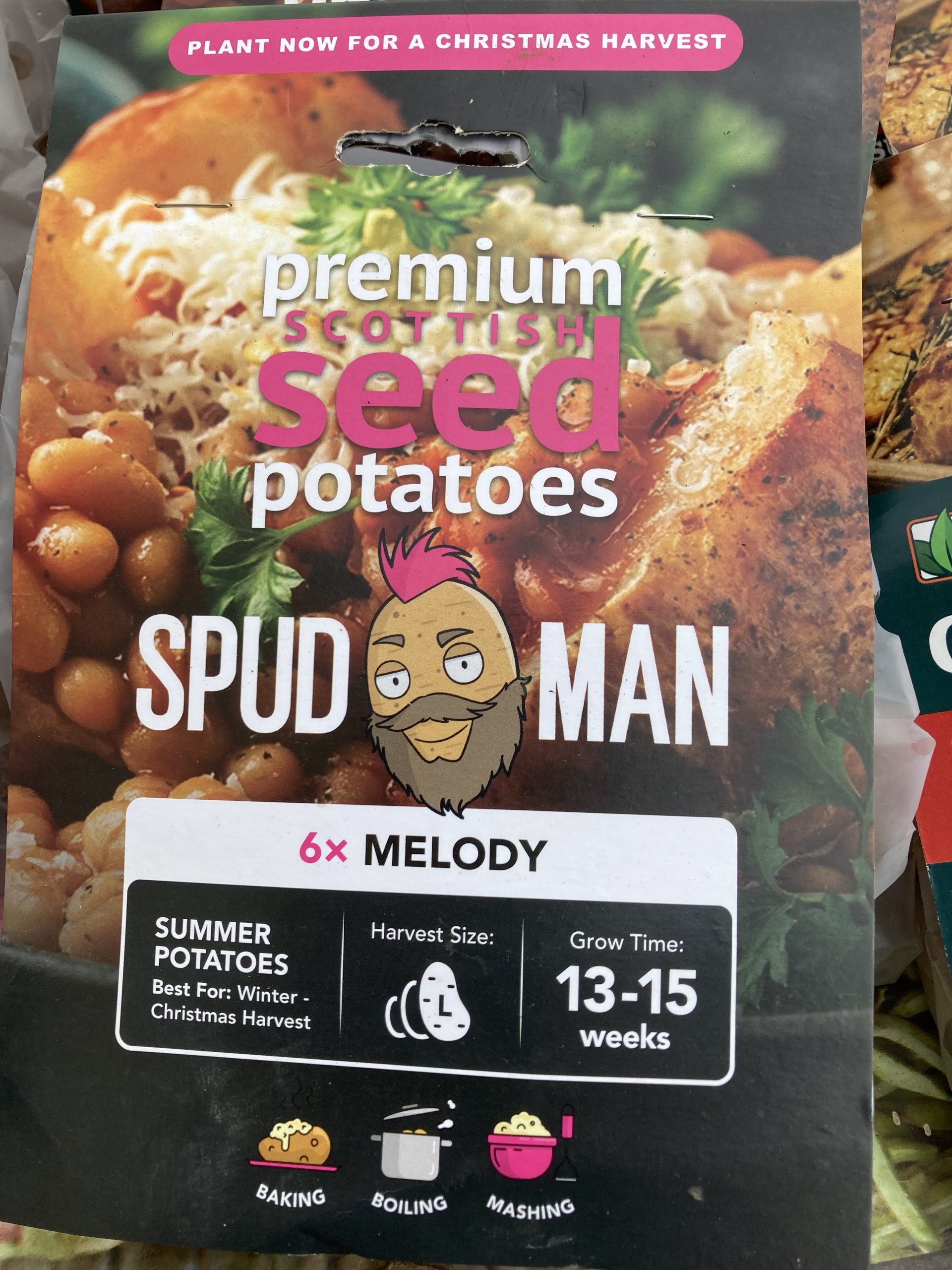 1 SUMMER PLANTING POTATO - MELODY