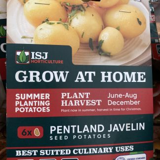 1 SUMMER PLANTING POTATO - PENTLAND JAVELIN