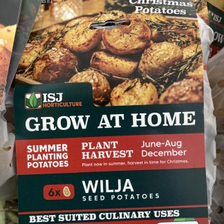 1 SUMMER PLANTING POTATO - WILJA