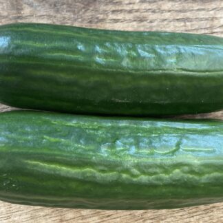 Pony F1 Cucumber