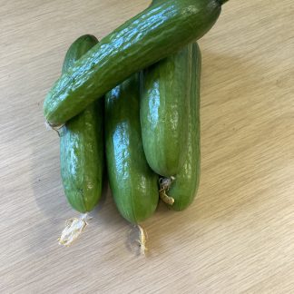 Pony F1 Cucumber
